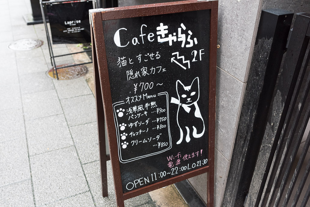 猫カフェ・きゃらふの立て看板