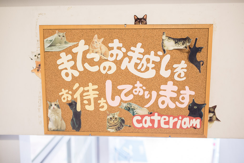 猫カフェ・キャテリアムのお見送り看板