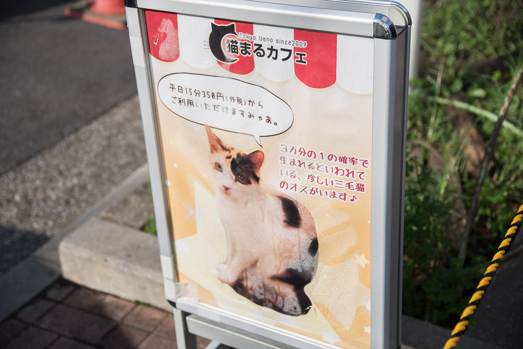 猫まるカフェの看板