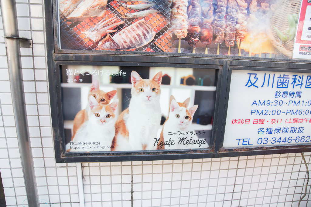 猫カフェ・ニャフェ・メランジェの看板