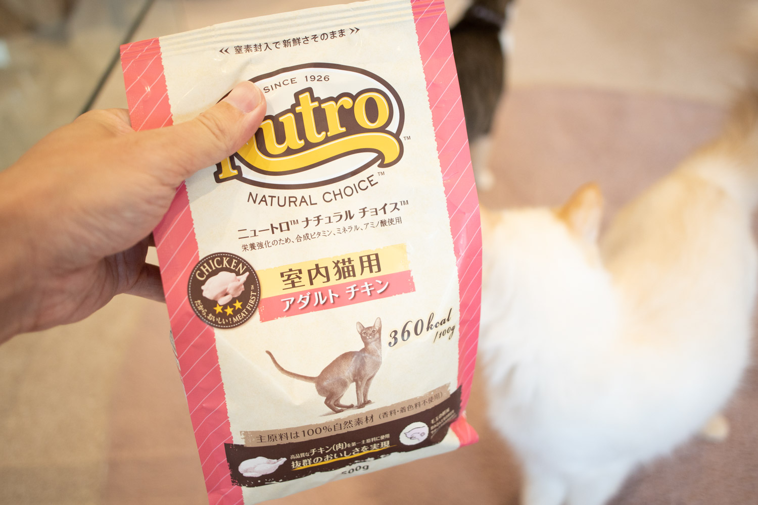 ニュートロ ナチュラルチョイス キャット アダルト チキン プロ ニュートロ ナチュラルチョイス キャット アダルト チキン プロ